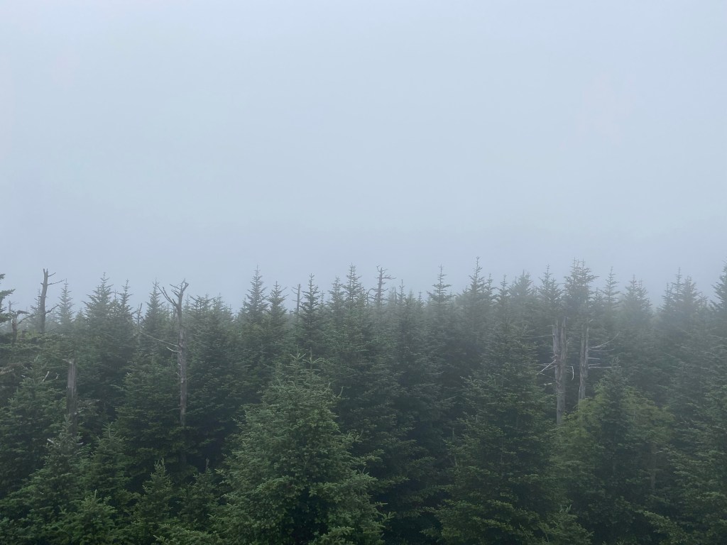 come out come out wherever you&nbsp;are